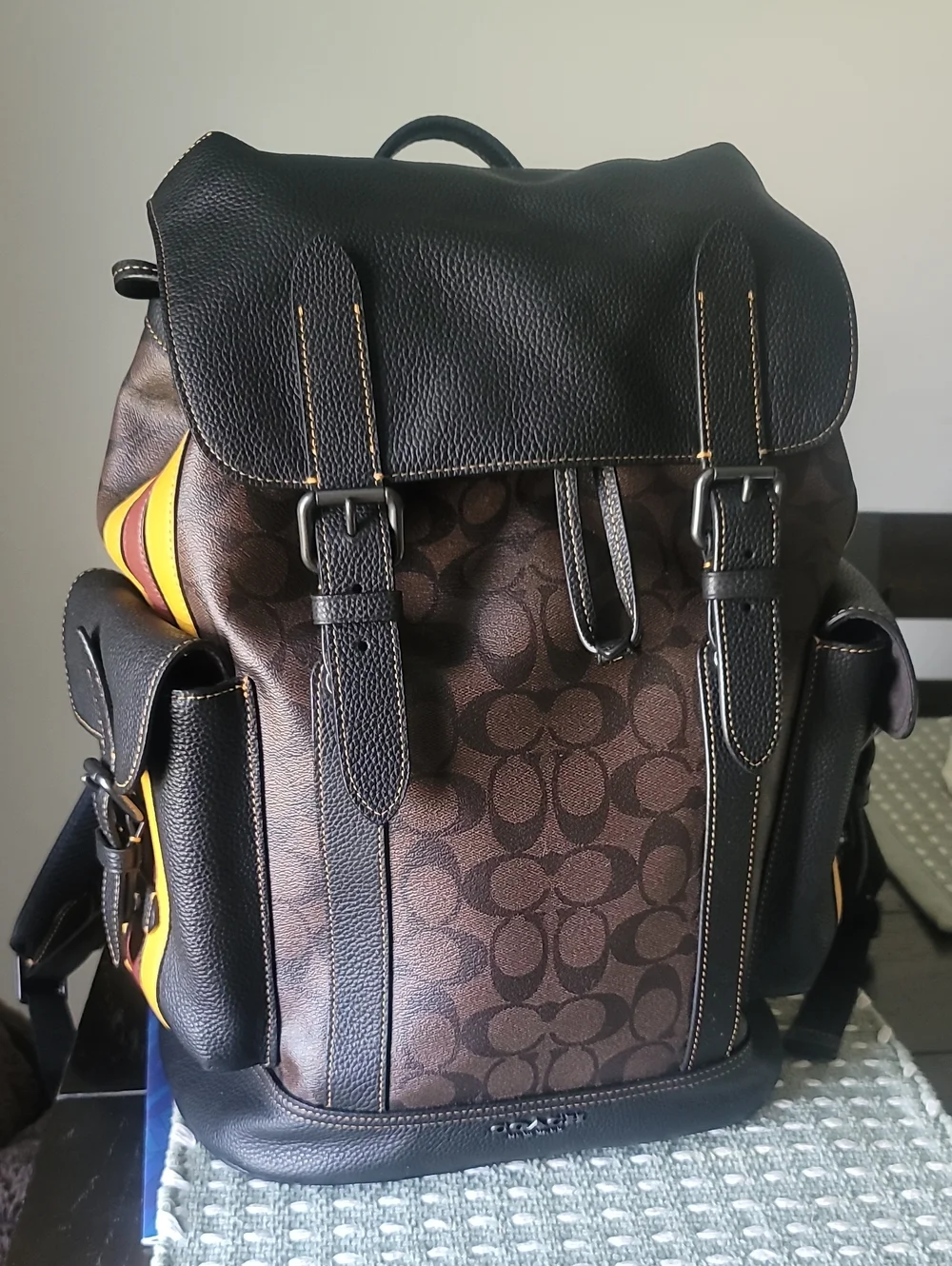 Coach Men’s Hudson Signature Leather Backpack with Varsity Stripes